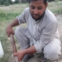 Green Seekers Activity